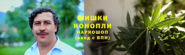 ешки Бородино